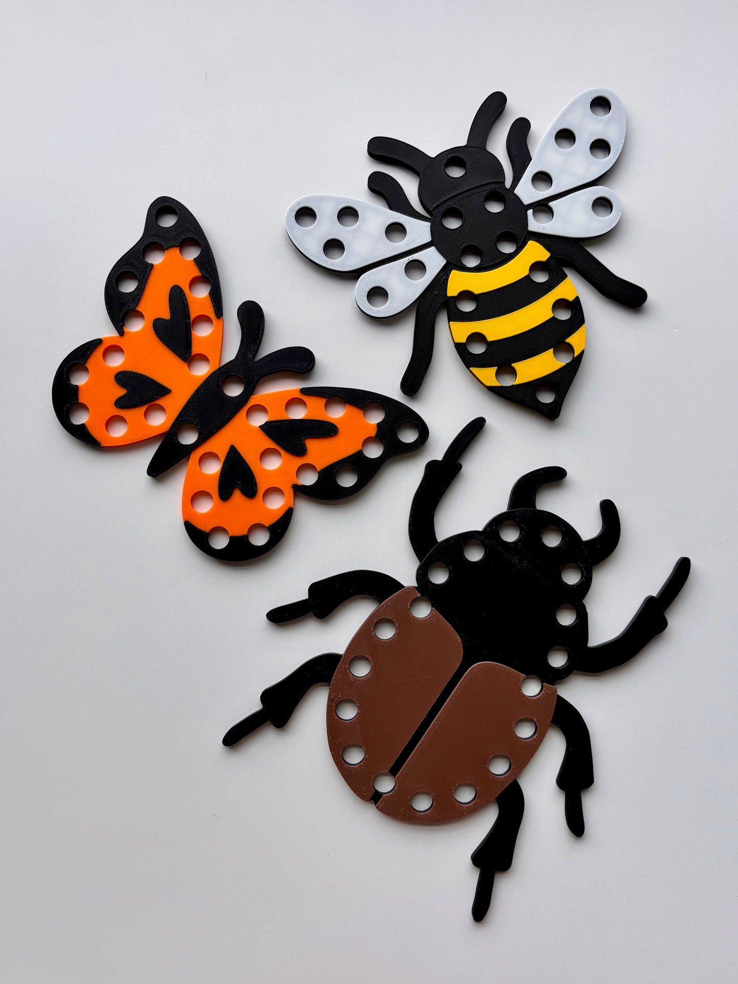 Insecte à lacer