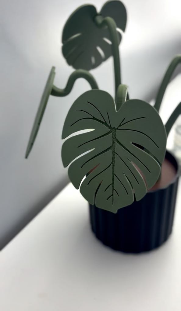 Ensemble décoratif de 5 sous-verres Monstera