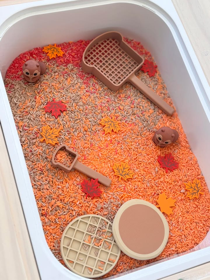 Alimentation/ Cabane à sucre 🍁🦫