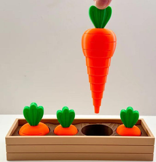 Ensemble de carottes avec jardinière