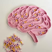 Plateaux sensoriels éducatifs