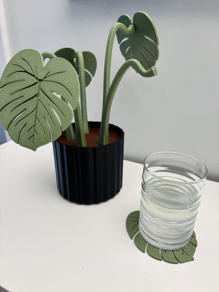 Ensemble décoratif de 5 sous-verres Monstera
