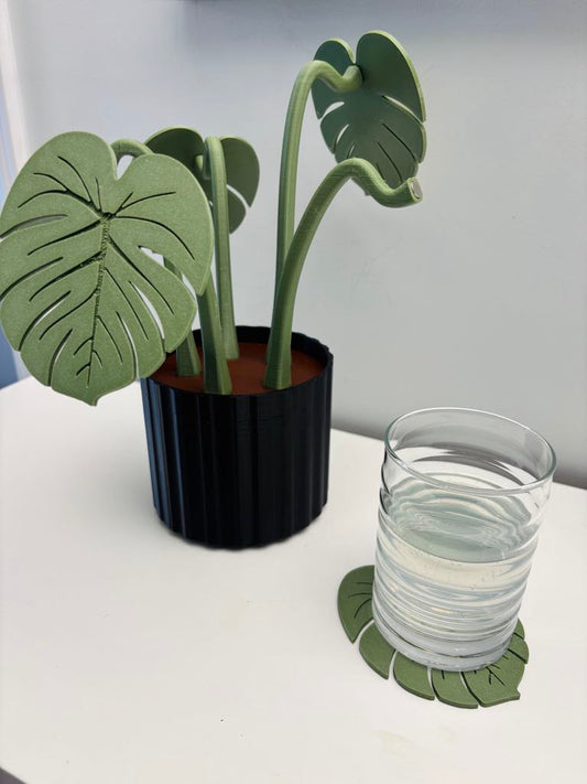 Ensemble décoratif de 5 sous-verres Monstera
