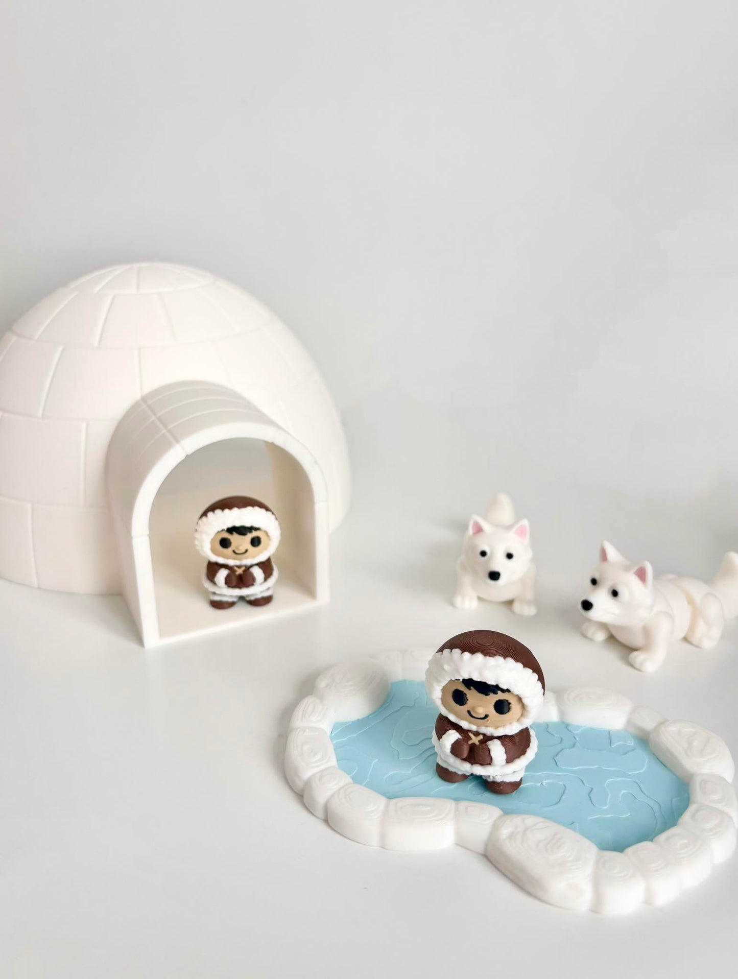 Ensemble '' Vivre dans le grand froid  ''