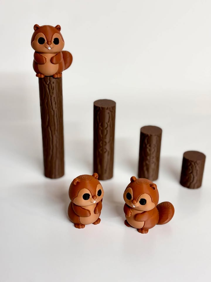 Ensemble '' Nos amis castors''