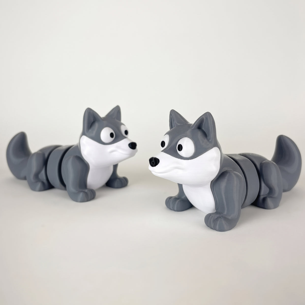 Loup gris