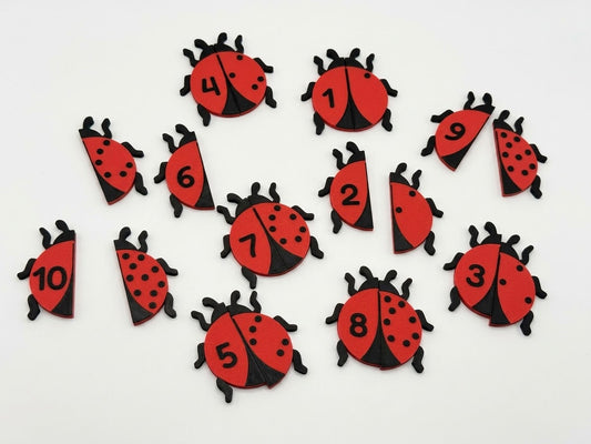 Coccinelle à compter