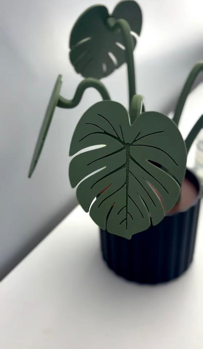 Ensemble décoratif de 5 sous-verres Monstera